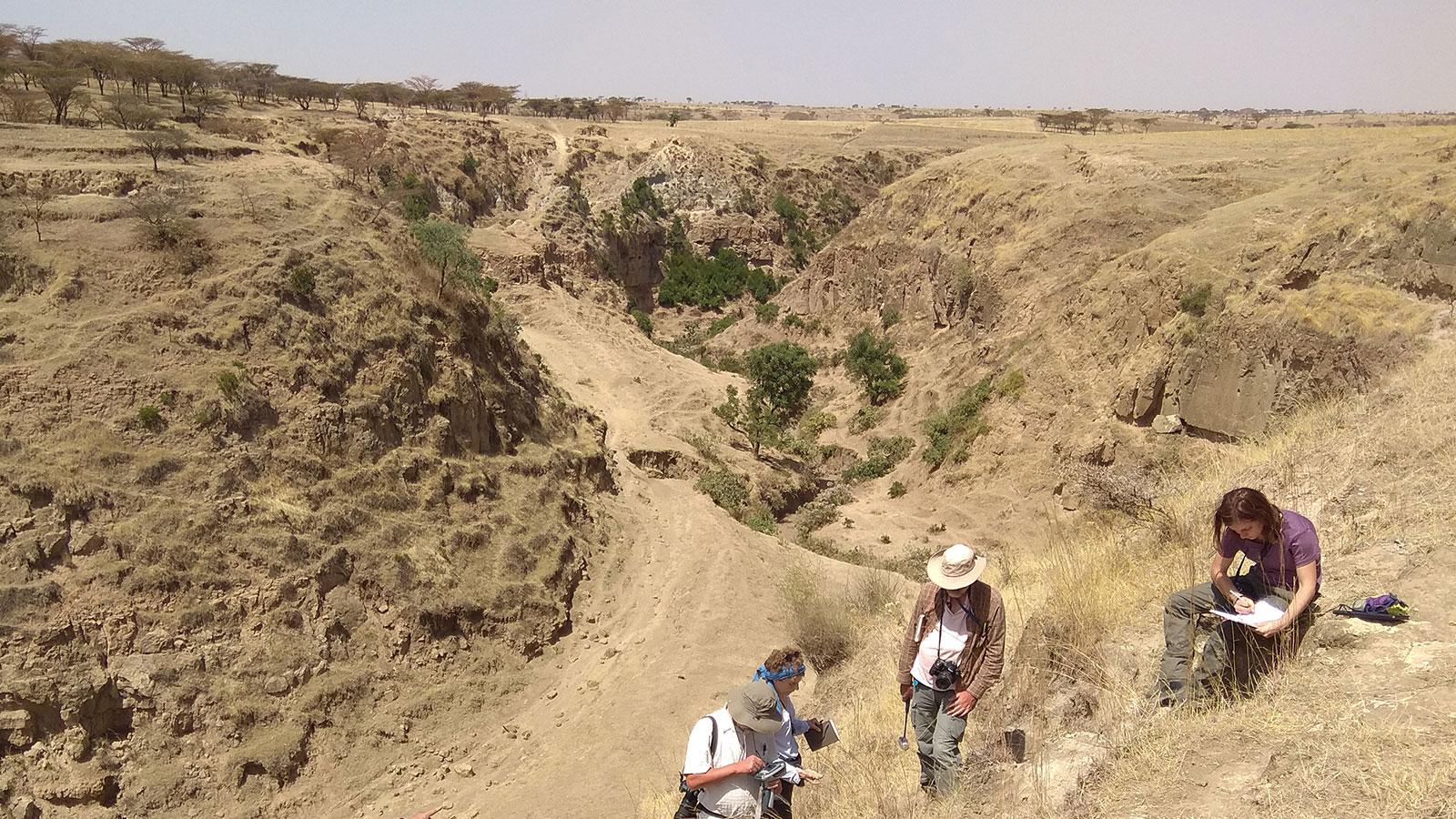 Analisi della stratigrafia vulcanica della Rift Valley ad Asela (Etiopia)